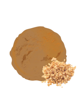 Crème glacée praliné – Format familial 2,5 L