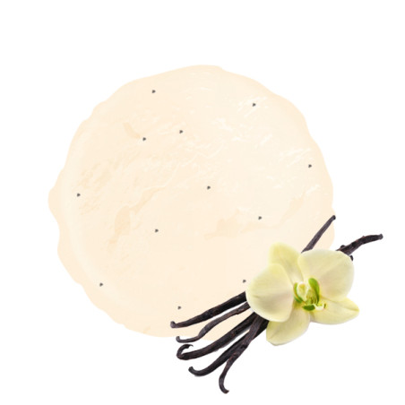 La crème glacée Vanille : recette artisanale depuis 45 ans