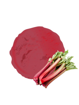 Le bon gout acidulé de la rhubarbe dans notre sorbet