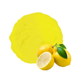 Sorbet vandencasteele plein fruit au citron