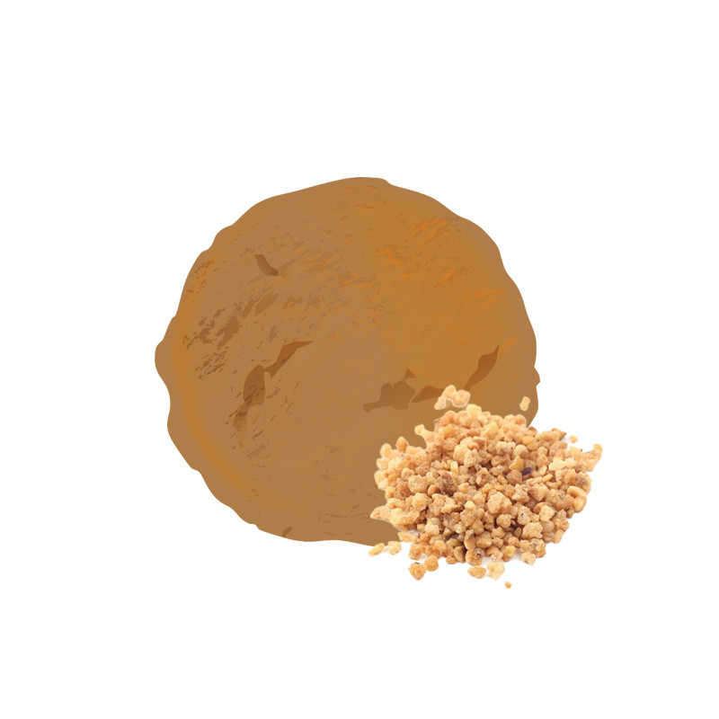 Crème glacée praliné – Format familial 2,5 L