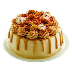 Layer Cake Spéculoos Van Den Casteele